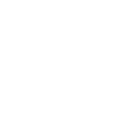 Silk Route Icecreams